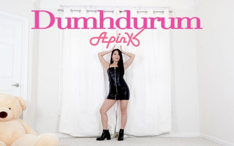 [图]【Lisa Rhee】Apink - Dumhdurum 翻跳+教程