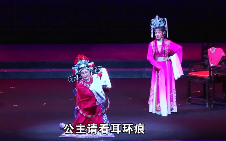 黄梅戏《女驸马·洞房》选段 (演唱:王琴,郑玉兰)