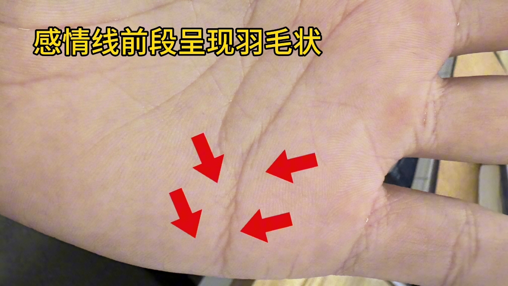 识人有术-羽状纹