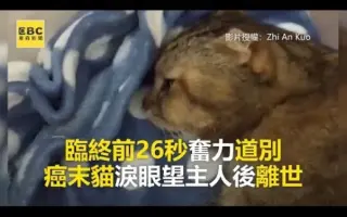 癌症日常 搜索结果 哔哩哔哩 Bilibili