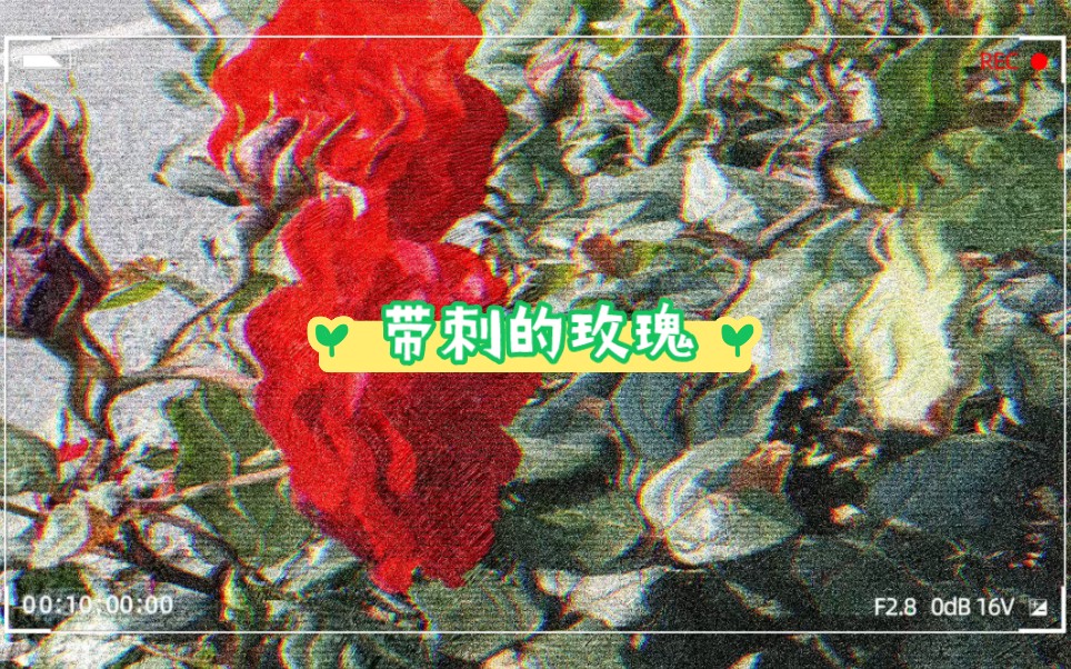 带刺玫瑰幽默回复图片