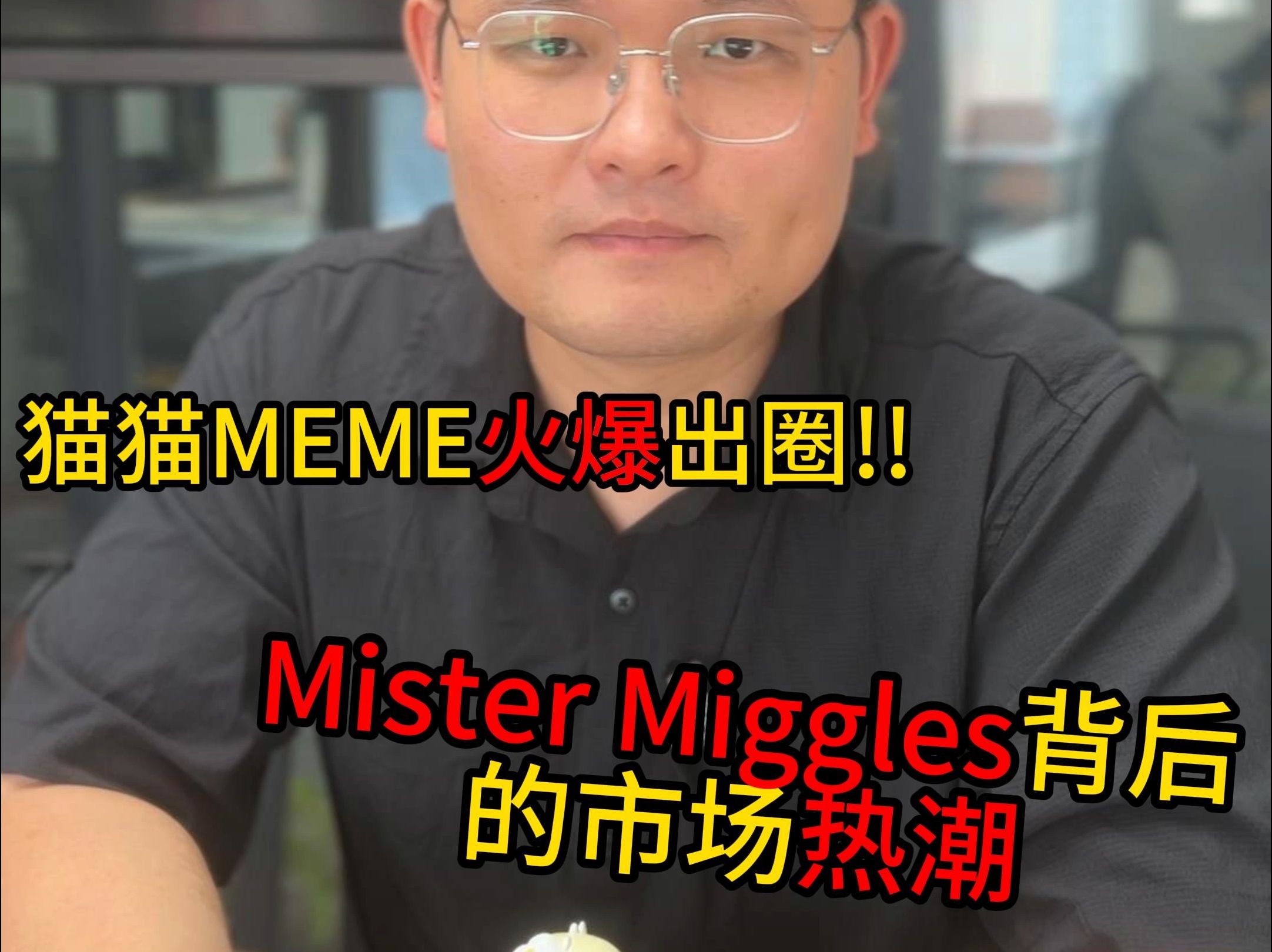 猫猫MEME火爆!Mister Miggles热潮哔哩哔哩bilibili