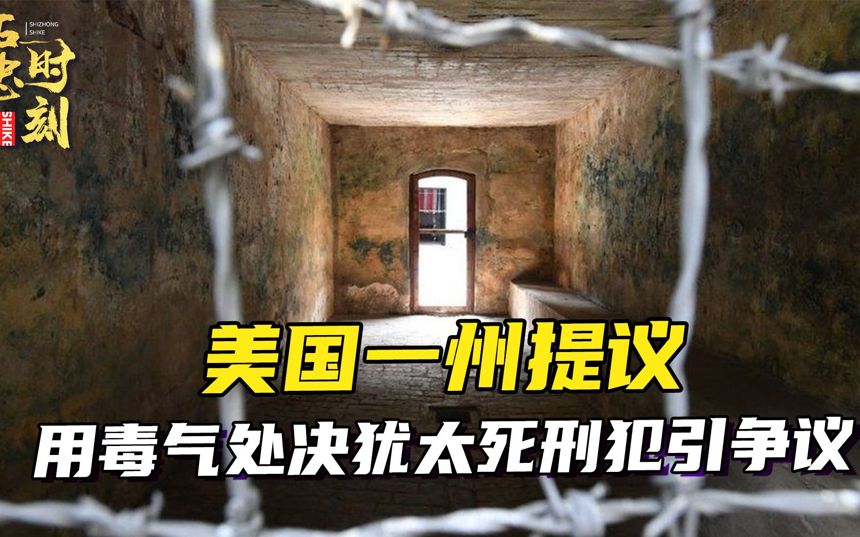 活動作品美國一州提議用毒氣處決猶太死刑犯專家他們正向納粹看齊