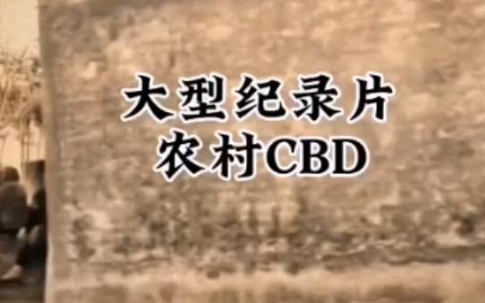 [图]《村口CBD》