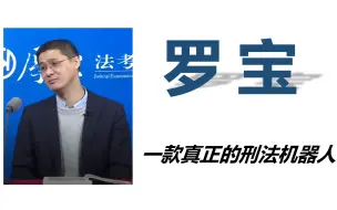 Download Video: 【罗宝】一款真正的刑法机器人