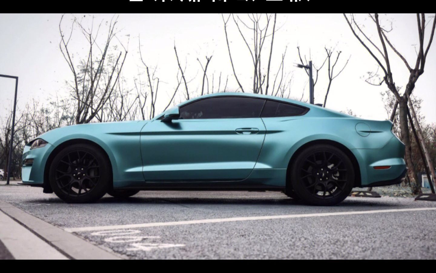 pvi普莱斯特改色膜 电光湖水蓝