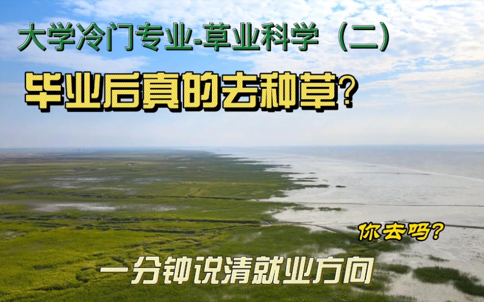 毕业后去种草?是真的吗?一分钟说清大学冷门专业—草业科学的就业方向哔哩哔哩bilibili