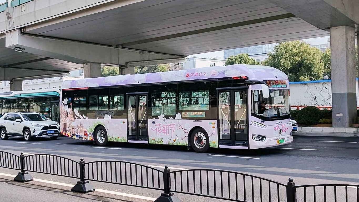 上海49路 花朝节涂装 开往春天的巴士 申沃iev12 2024