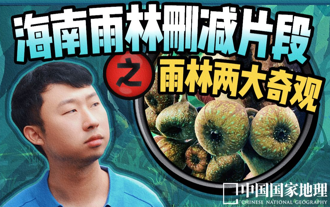 狐主任在一棵树上发现了雨林的两大奇观!-中国国家地理-中国国家地理-哔哩哔哩视频