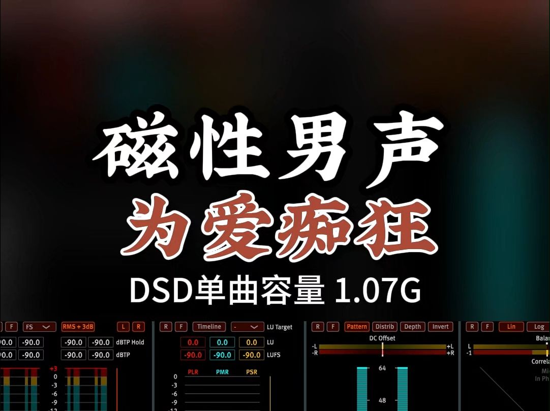 沧桑低沉,撕心裂肺!磁性男声《为爱痴狂》DSD完整版1.07G,百万调音师专业录音棚制作,顶级hifi无损音质哔哩哔哩bilibili