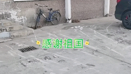 大庆市龙凤区市民排队免费做核酸哔哩哔哩bilibili