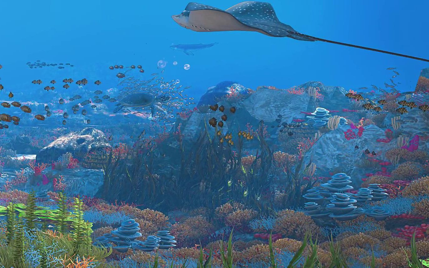 国网舟山裸眼3d海洋特效动画