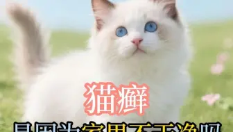 猫癣是因为家里不干净吗