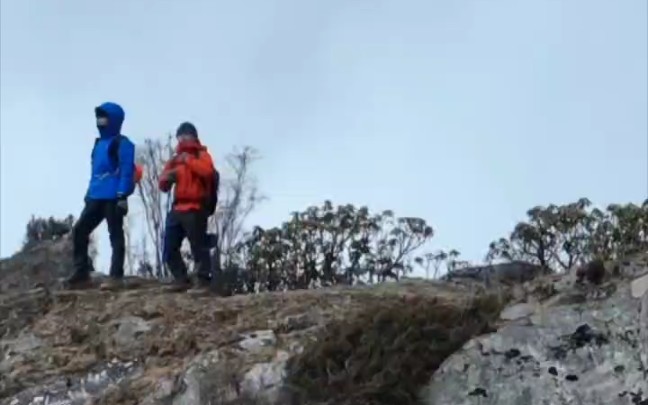 [图]高能航拍运镜，山峰如利剑般直插云霄，网友：太震撼了