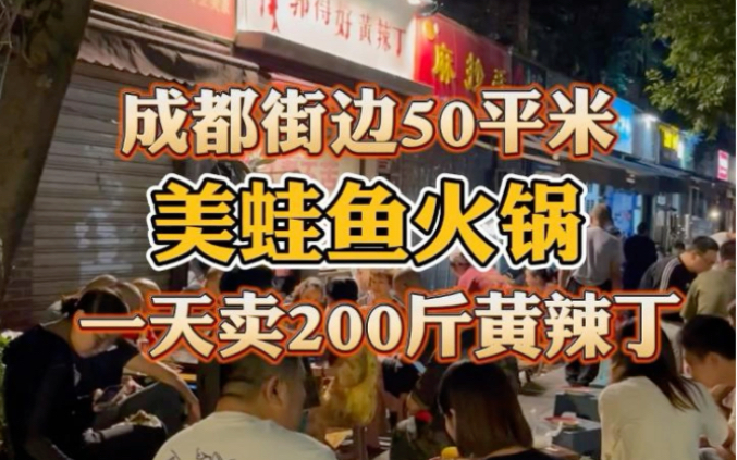 成都街头50平米美蛙鱼火锅,一天卖200斤黄辣丁哔哩哔哩bilibili