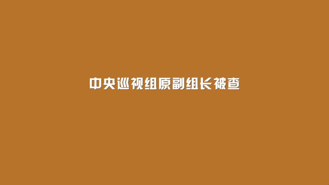 中央巡视组原副组长被查哔哩哔哩bilibili