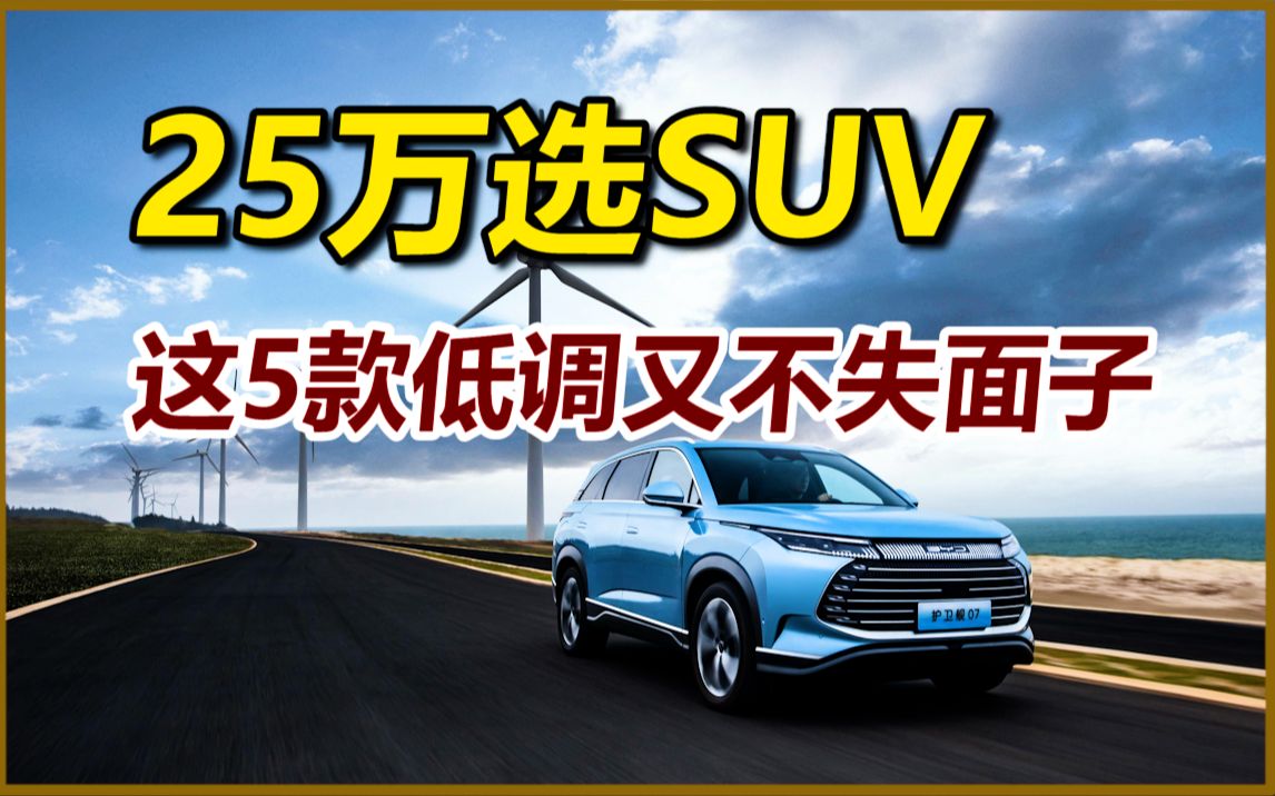 盘点25万左右,低调又不失面子的5款SUV哔哩哔哩bilibili