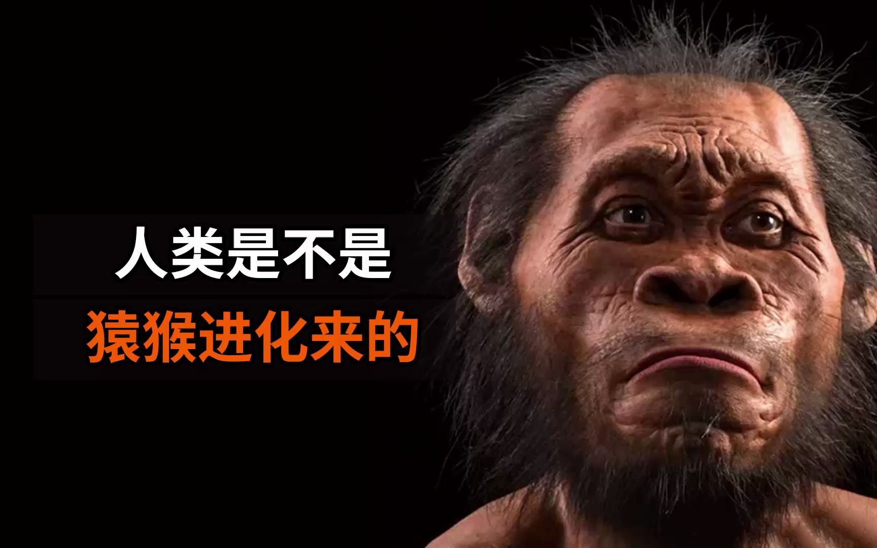 人类到底是不是猿猴进化来的有人认为人类祖先来自外星球