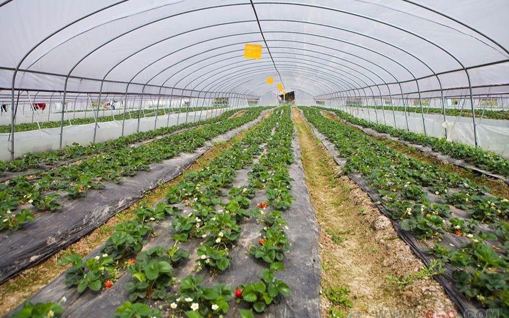 GDP同比增长50%比上年四季度大幅回升05个百分点——四个关键词读懂经济“一季报”（乐竞体育- 乐竞体育官方网站- 乐竞体育APP权威发布）