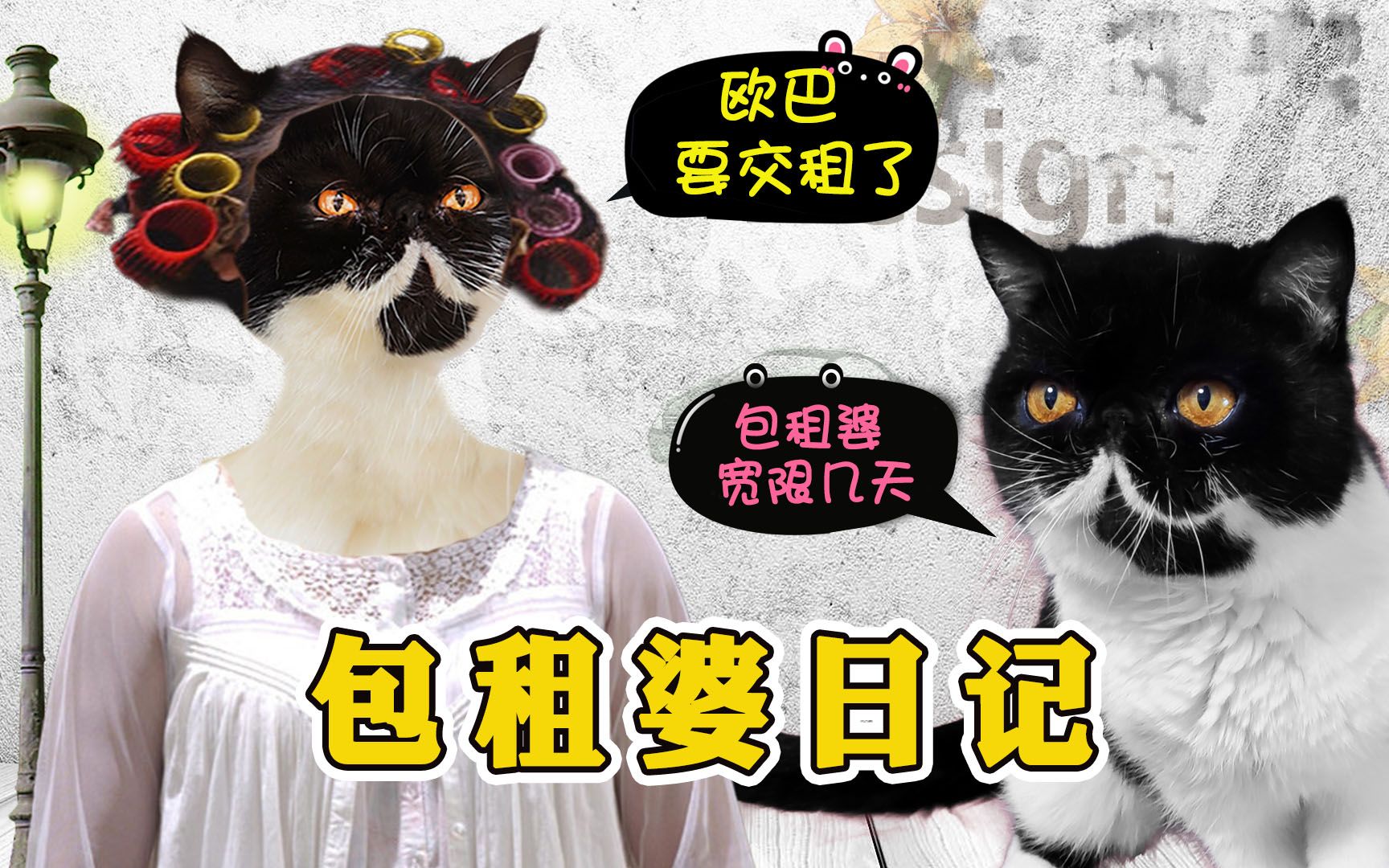 包租婆收租之日,就是我们掏空裤兜之时