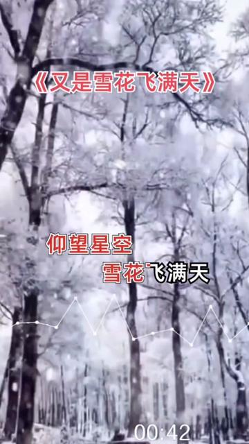 《又是雪花飞满天》