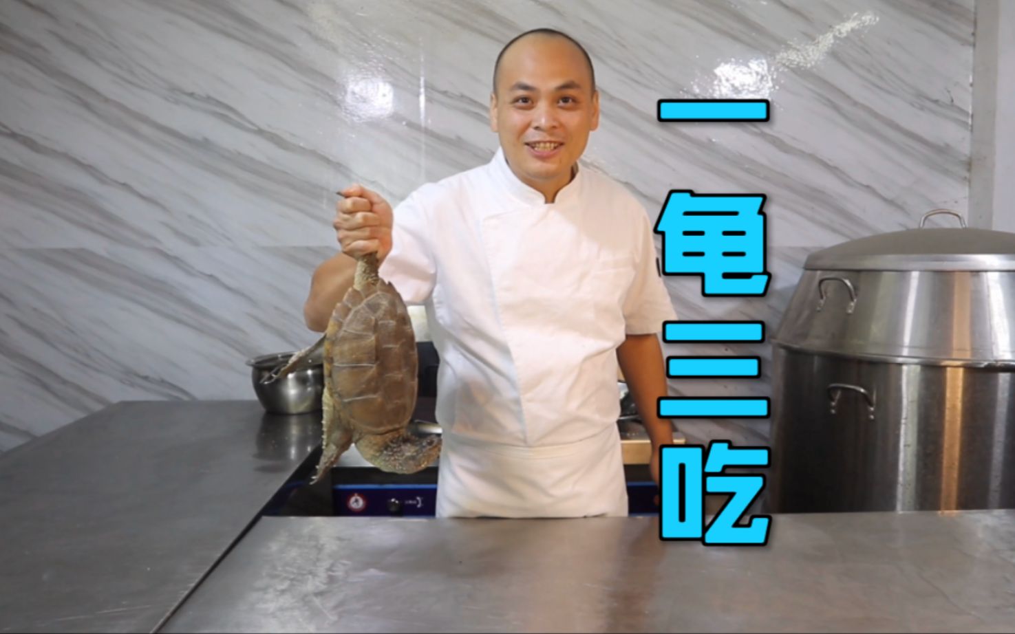 活动作品猪肉价格居高不下今天来个一龟三吃比猪便宜还能大快朵颐