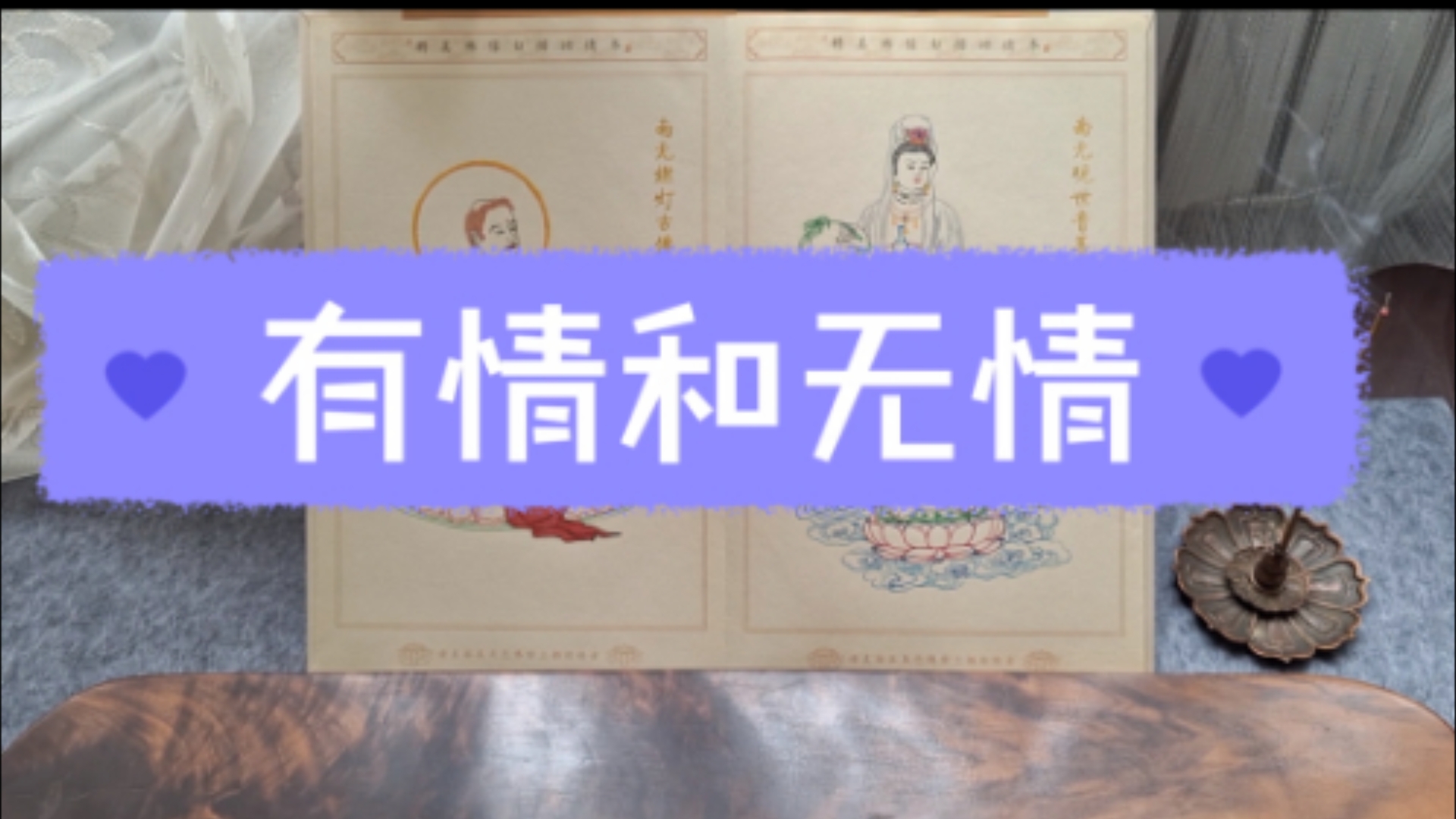 有情和无情哔哩哔哩bilibili