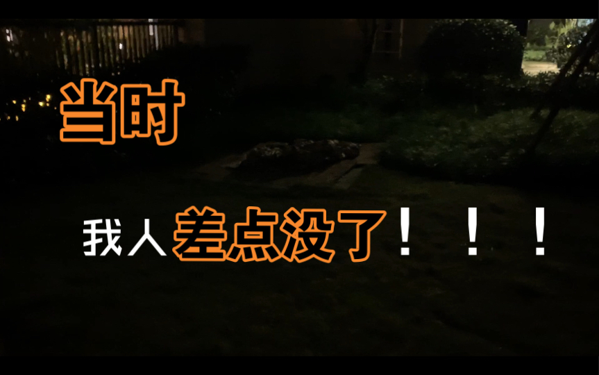 下楼遛个弯,我魂都差点吓没了!太惊悚了