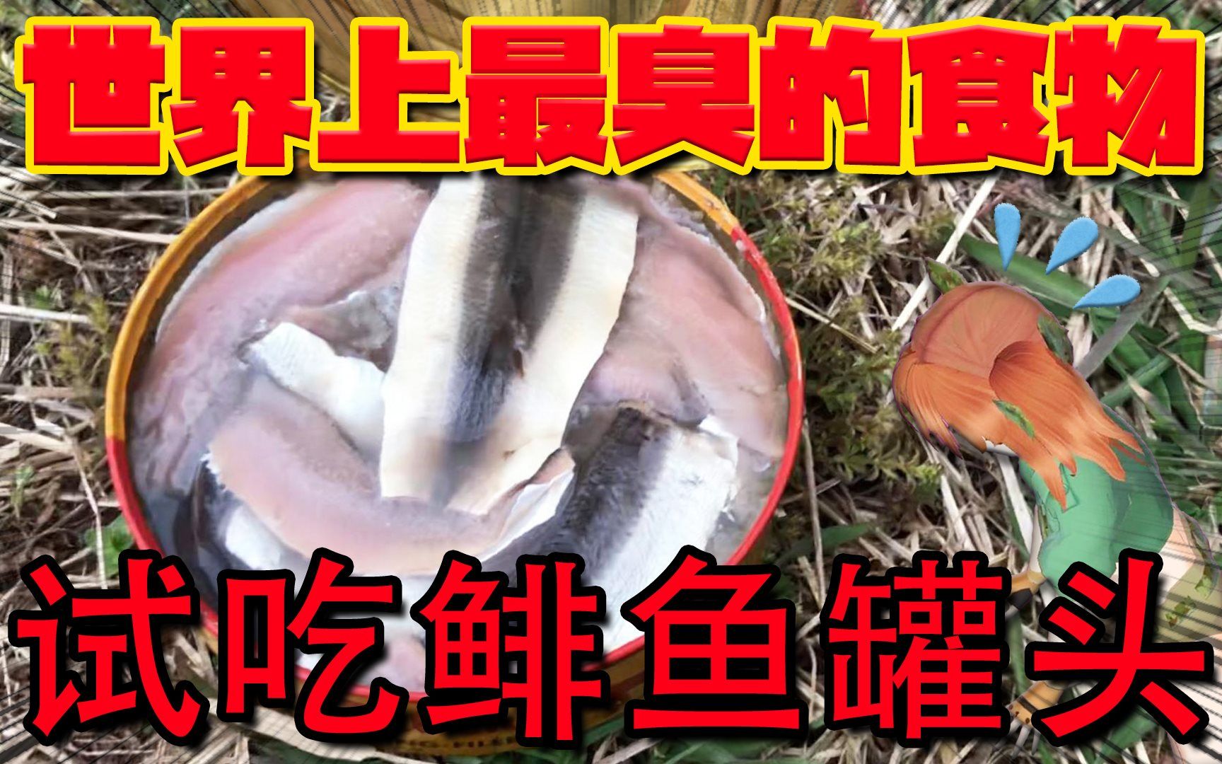 vtuber试吃鲱鱼罐头【世界上最臭的食物】