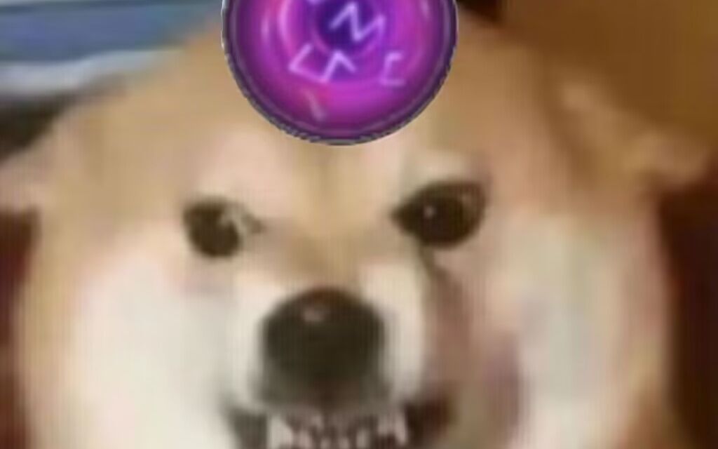 毒经jjc保姆级插件监控设置/含驭虫内置cd监控/群侠万变毒经pvp/适用