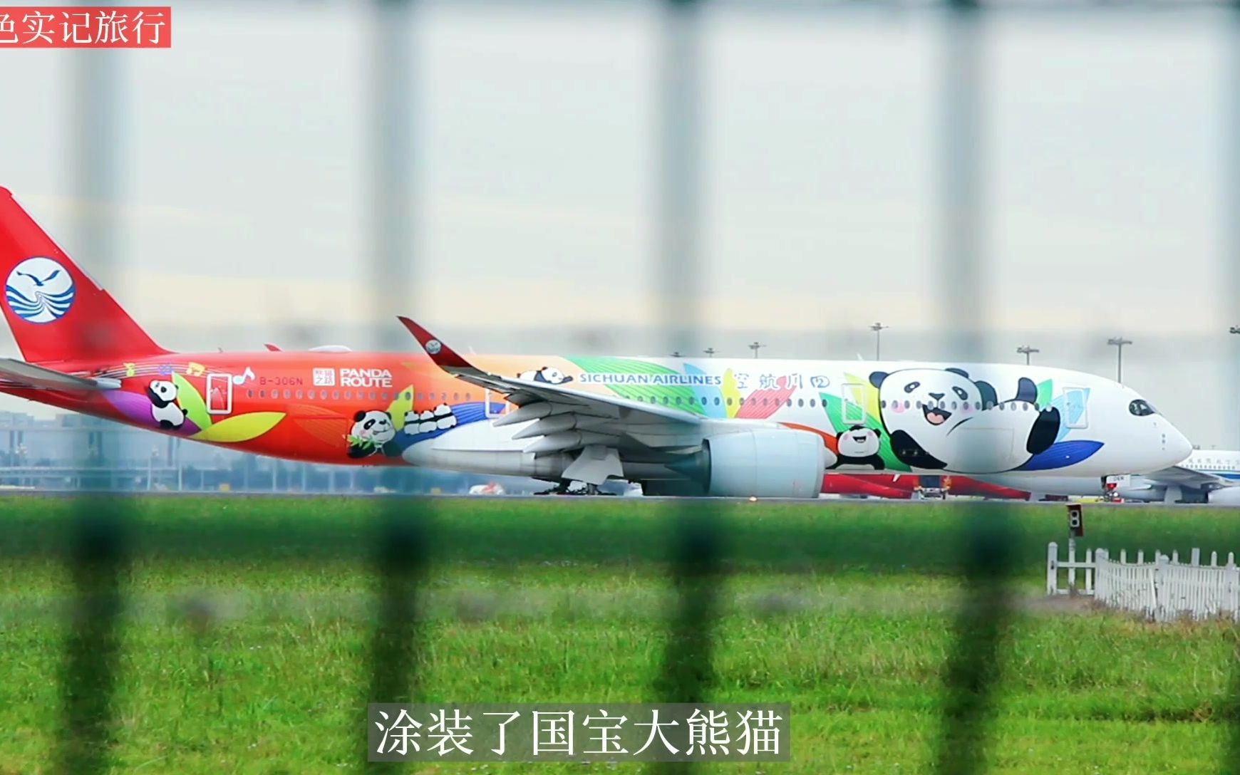 实拍成都双流机场空客a350飞机,第一次看到大熊猫飞机起飞,太可爱了