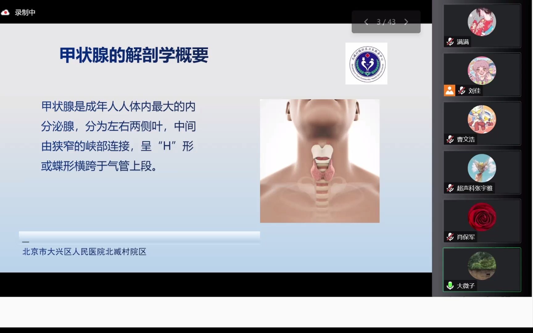 [图]20221118-甲状腺解剖及基础