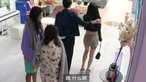 搜索 哔哩哔哩 つロ干杯 Bilibili