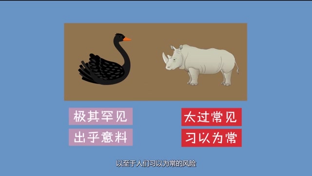 黑天鹅与灰犀牛的含义图片