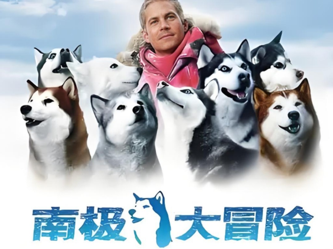 电影《南极大冒险》带你领略南极的冰雪奇缘!