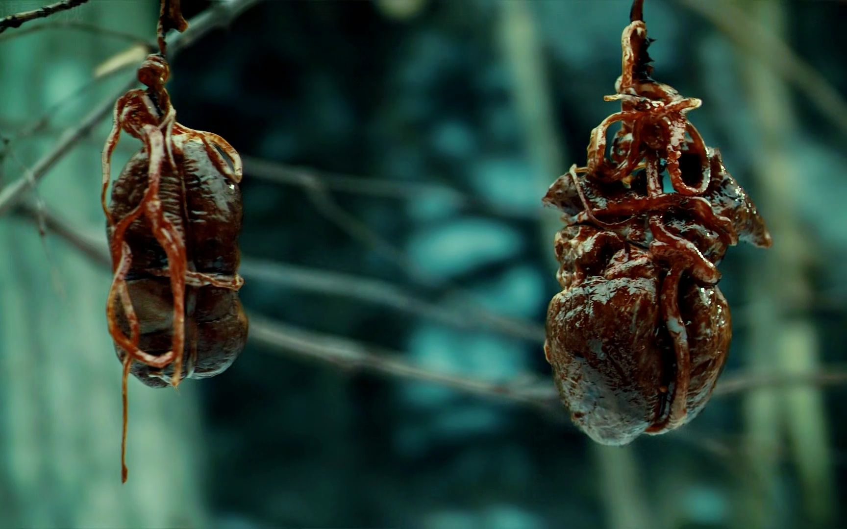 《汉尼拔》他是站在食物链顶端的男人,拔叔只吃最高端的食材!