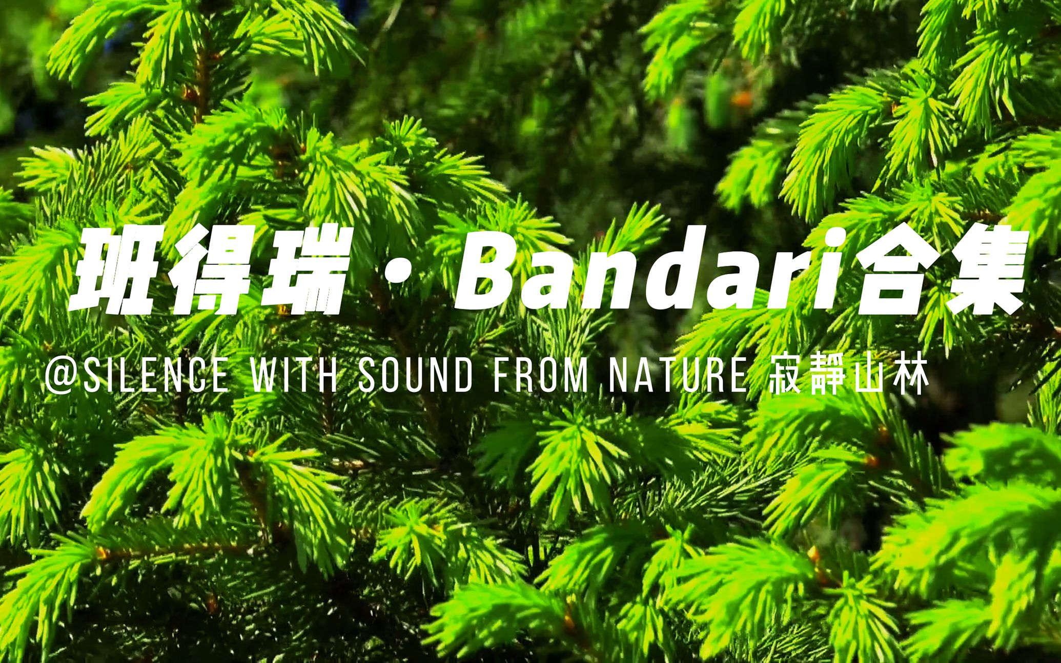 [图]班得瑞Bandari 音乐合集 Silence With Sound From Nature-寂静山林