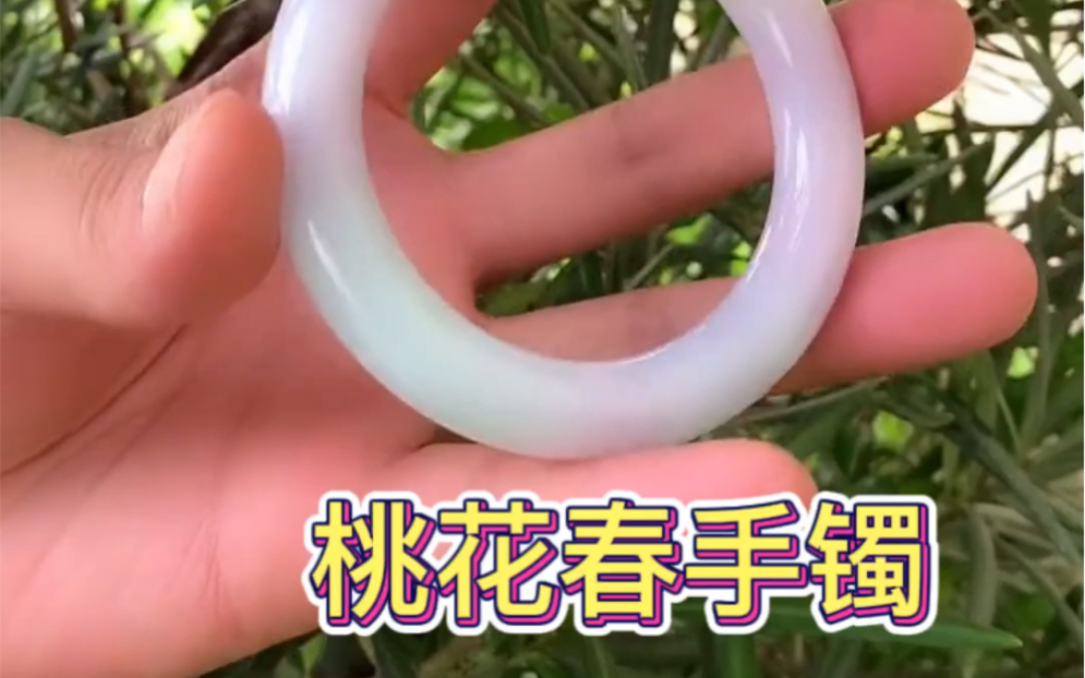 桃花春手镯 纪念二十年婚姻#翡翠手镯#翡翠珠宝
