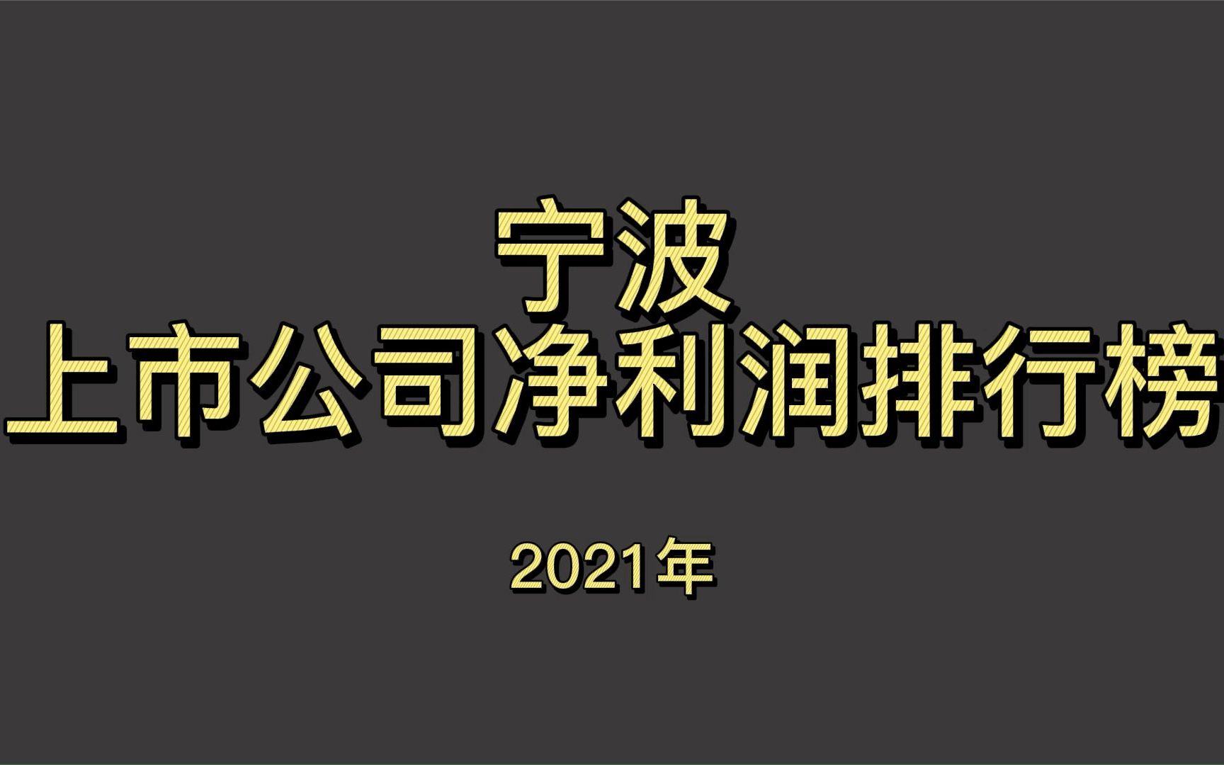 宁波上市公司2021年净利润排行榜哔哩哔哩bilibili