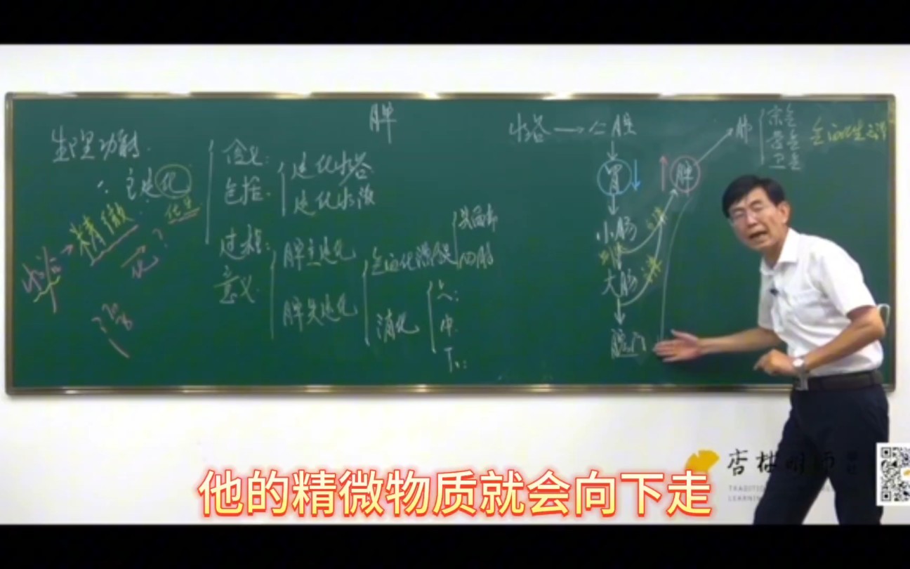 13.《藏象学说》第十三节:脾失运化——和胃健脾是一辈子的功课.哔哩哔哩bilibili