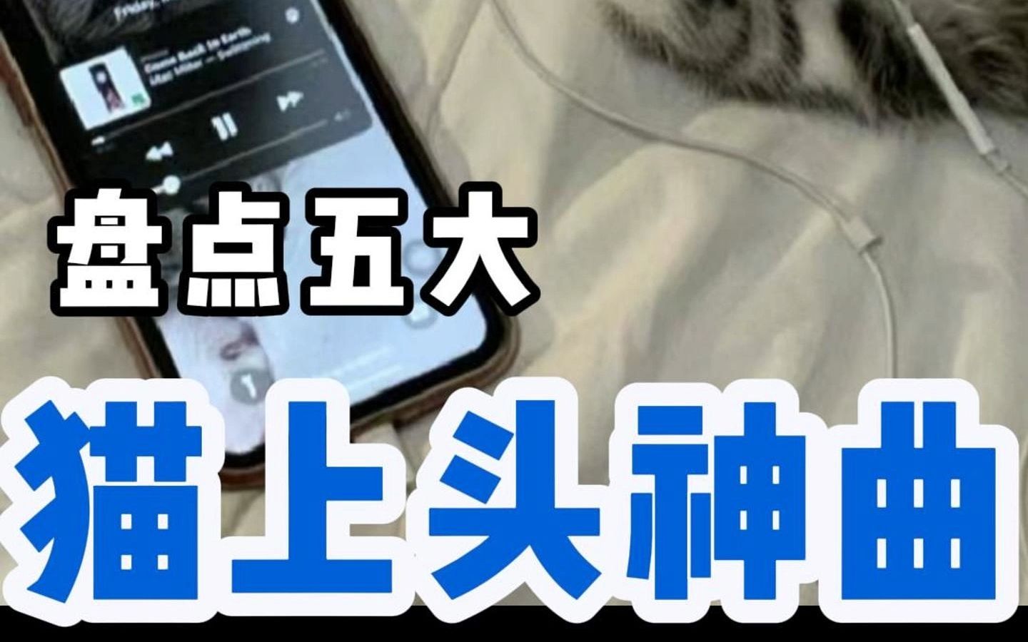 猫咪专属音乐!这五大洗脑神曲快给你家猫猫听听,看看有什么反应?哔哩哔哩bilibili