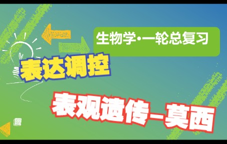 【高中生物一轮复习】6.51基因表达和调控表观遗传 新高考生物步步高全国新课标网课哔哩哔哩bilibili