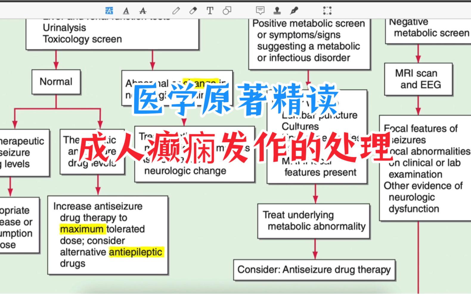 【医学英语】成人癫痫发作的处理~医学原著精读,医学生、医生、护士可以学起来~哔哩哔哩bilibili