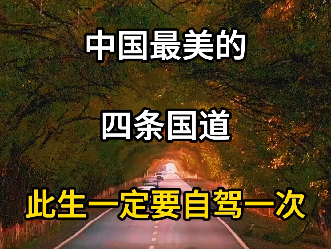 中国最美的四条国道,此生一定要自驾一次.人生才不留遗憾,看看您走过几条?#旅行推荐官 #旅行大玩家 #旅游攻略 #中国最美的四条国道 #此生必驾哔...