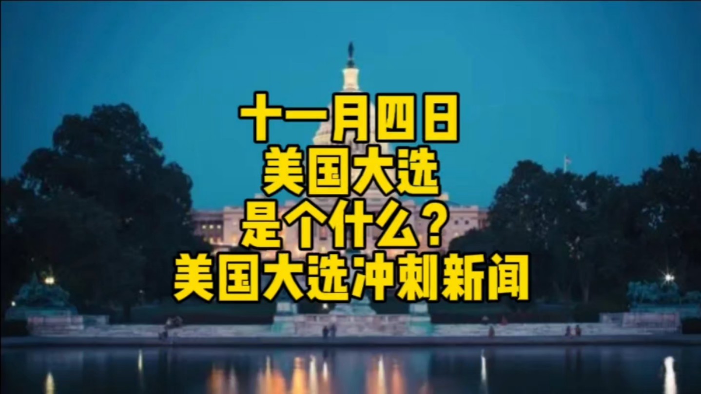 美国大选简介及新闻哔哩哔哩bilibili