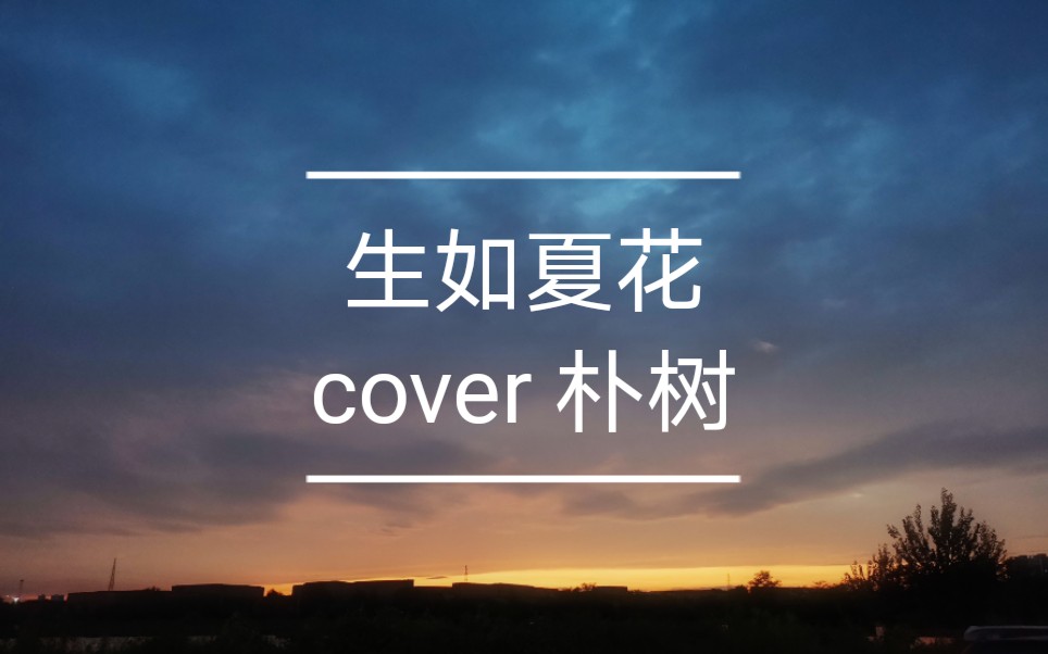 【吉他弹唱】生如夏花(cover 朴树)哔哩哔哩bilibili