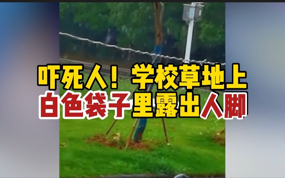 [图]雨中学校草地上白色袋子露出人脚 男子在里面看电视称：这样很凉快