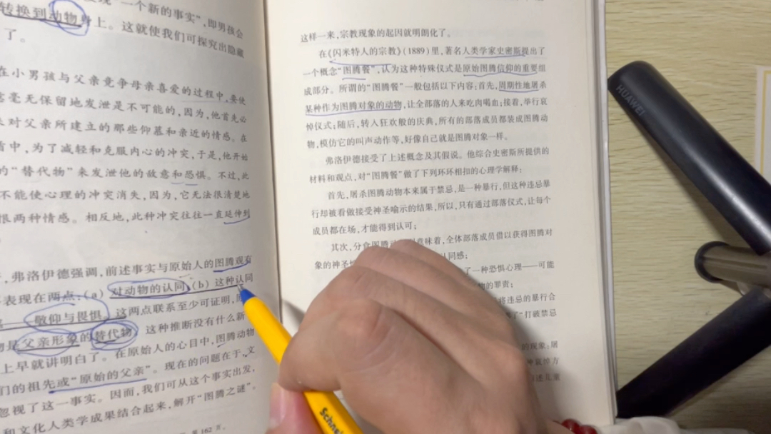 弗洛伊德,俄底浦斯情节,恋my情节,图腾与禁忌,宗教的起源哔哩哔哩bilibili