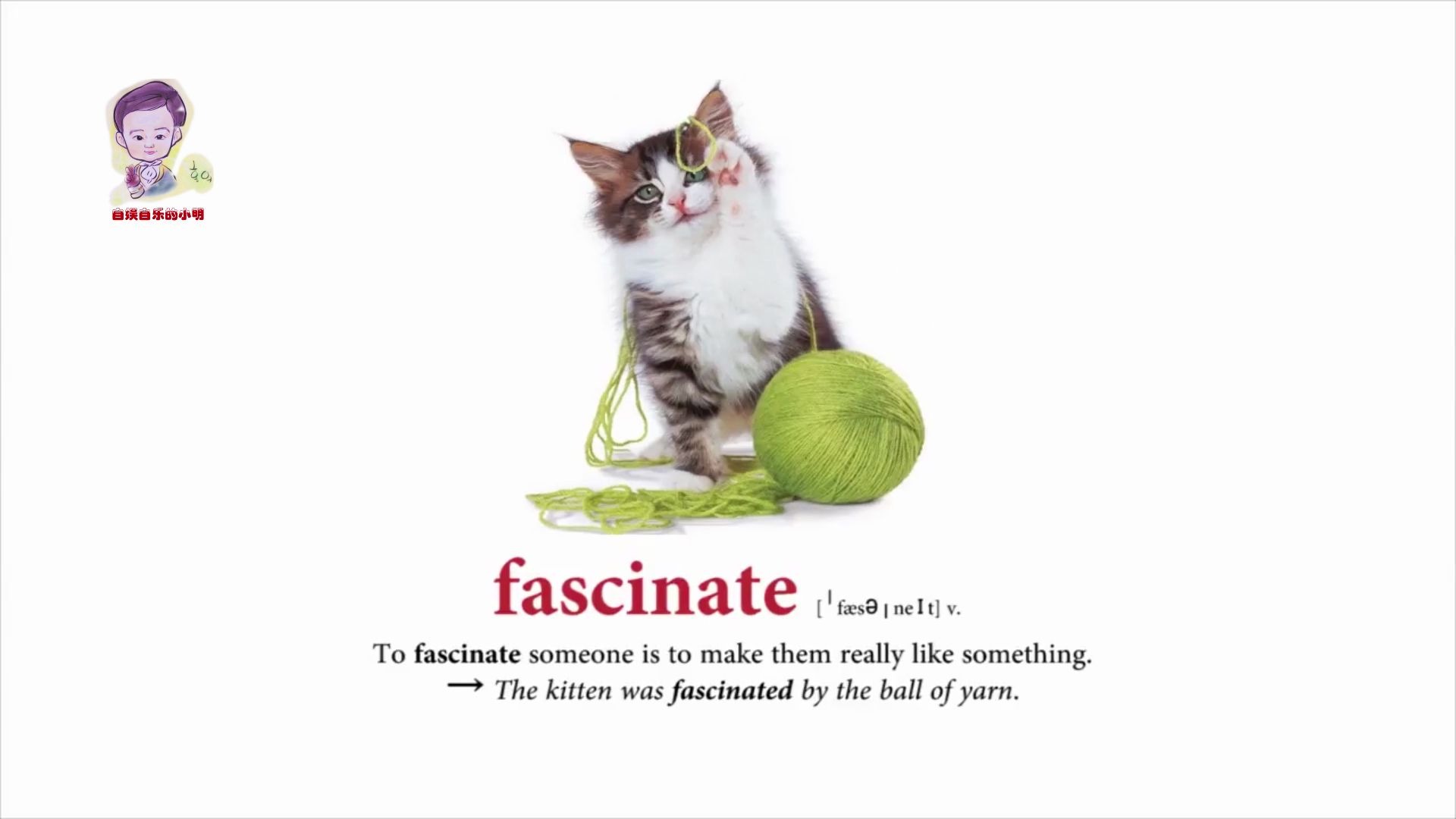 必备英语单词初级372