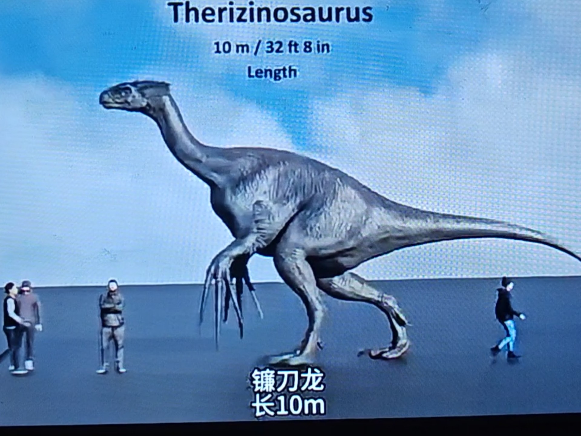 最新恐龙大小对比5